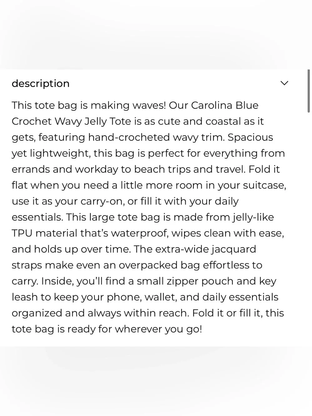 Case Mate Jelly Tote Bag Blue NWT